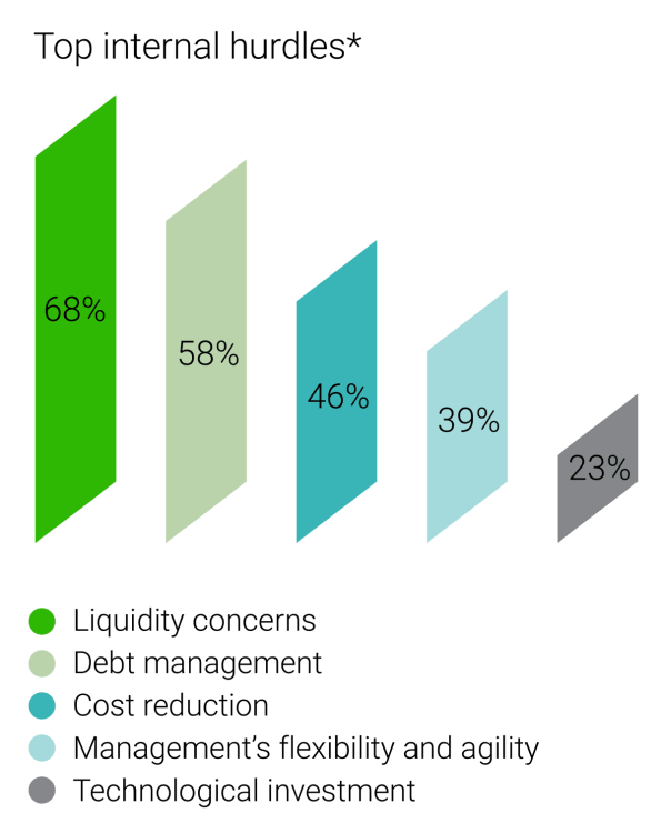 bar chart liquidity concerns debt management cost reduction